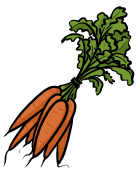 Karotten (Bund)