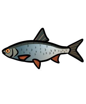 Döbel