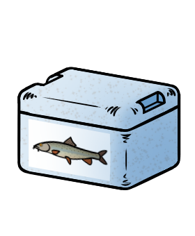 Kühlbox (mit Barbe-Aufkleber)