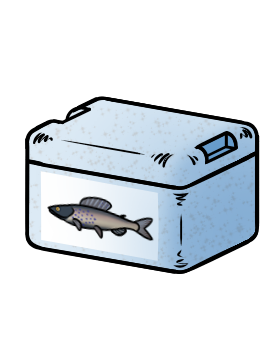 Kühlbox (mit Äsche-Aufkleber)