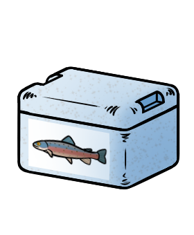 Kühlbox (mit Regenbogenforelle-Aufkleber)