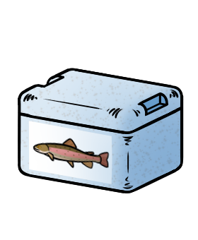 Kühlbox (mit Forelle-Aufkleber)