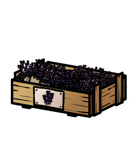 Lavendel-Bund (Kiste)