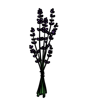 Lavendel (Bund)