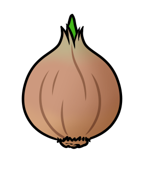 Zwiebel