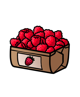 Himbeeren-Box