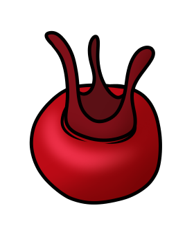 Rote Beete