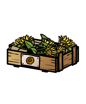 Sonnenblumen (Kiste)
